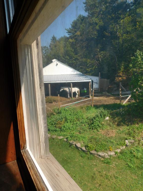 Bed and Breakfast No View Farm à Rumford Extérieur photo